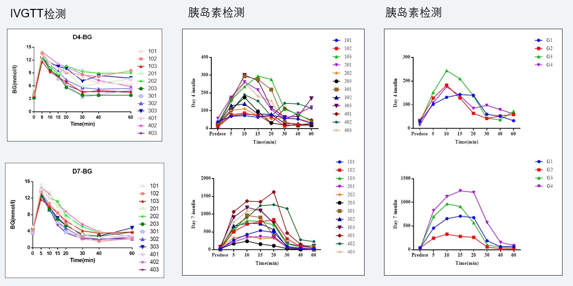 案例4：食蟹猴IVGTT和胰岛素检测实验.jpg